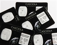 Pietra certificata Casciola Gioielli BLISTER in Diamante Diamante 0.17 Ct N°00010085 - N°00010085
